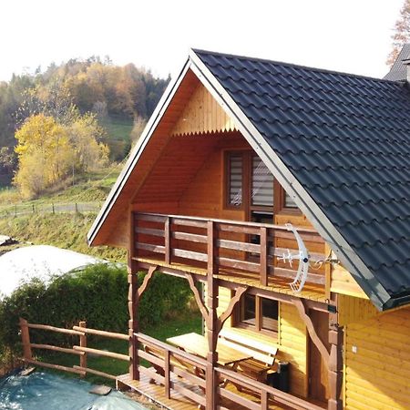 Domek Dzikusowka 1 Bieszczady Solina Polanczyk Zawoz Cisna Gorzanka Exterior foto